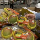 인스빌세탁소 이미지