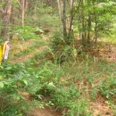 어곡농장 이미지