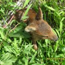 매곡농장 이미지