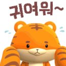 고천 다목적 체육관 네이버블로그