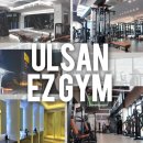 이지짐(EZGYM) 네이버블로그