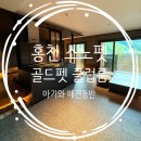 펫21 (Pet21) 이미지