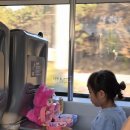 부전역(철도) | 부산 포항 부전역 철도여행 깨끗한 기차 내부이용 후기