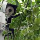 대형농장1호 이미지