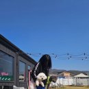 다온멍스쿨 이미지