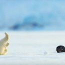 까꿍아기사랑 이미지