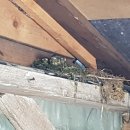 노내골흙집 이미지