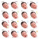 중화한방병원 | 26년 4월 일상 : 말띠아기 출산 🐴, 아인병원 조리원 👼🏻, 조니워커 블루라벨 말띠에디션 👣
