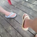 얀카라반펜션 | 부산기장 얀카라반팬션 바다뷰 조용하고 가족여행딱인곳 !!