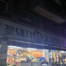골목꽃돼지