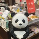 수진화장품 이미지