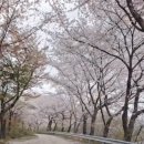 죽림정사~동화호 이미지