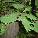 복현초등 이미지