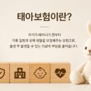 치래 | 현대해상 태아보험 후기｜다이렉트 vs 설계사 비교 솔직후기