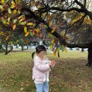 뉴월드마트 | 흐린날 퀸스타운 여행 (와카티푸 호수, 뉴월드마트, 맛집, 놀이터)