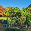 영봉농장 이미지