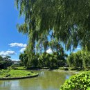 수원-1471 이미지