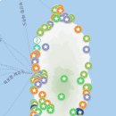 츠마미야미미 | [내돈내산] N번째 제주 방문자의 또간집, 새로 발견한 제주도 맛집 추천