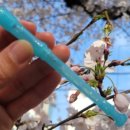 센텀서울정형외과의원 이미지