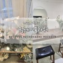 펄세이플라워