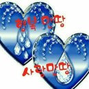 나는...이쁜여우 Daum카페