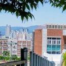 동덕로 이미지