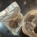 교향곡과 함께하는 클래식의 이해 | [서청팬 2기] 클래식이 처음이라면? 서울청년문화패스와 함께하는 클래식 체험기