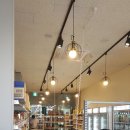 DC365강서 이미지