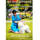 울산퍼스트애견미용학원