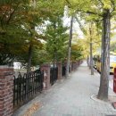 사파동128 이미지