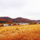 경안천습지생태공원 이미지