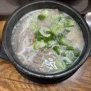 주짓수 복싱 이미지