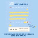 고양이미용사 임서영 이미지