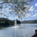 세븐일레븐 파주마장호수점 | 가을 서울근교 아이랑가볼만한곳 파주 마장호수 출렁다리 주차 꿀팁 후기