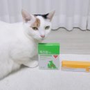 새로나약국 이미지