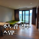 139 | 소노캄 경주 스위트 리모델링 객실 후기 | 기존 회원도 이용 가능
