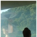 [2013’ 8월의 테라와다상가산책] 경주 마하보디선원 한국테라와다불교 8월 특별집중수행~ 이미지