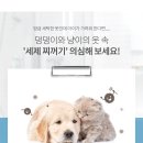 프랜즈 세탁 이미지