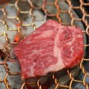 한우 평 이미지