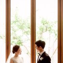 더블라썸 이미지