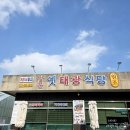 강릉 아침식사 추천 맛집 옛 태광식당 우럭미역국 생물 대구국 내돈내산 후기