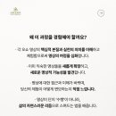 명상(심화) 이미지