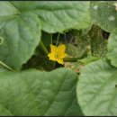 연원목장 이미지