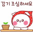 별미칼국수 - 북구 문화소통로 238 | 별미칼국수