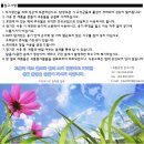 당밀 이미지