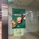 [서초] 강민경 차밥열끼 추천 김밥 식물원김밥 포장 성공 후기