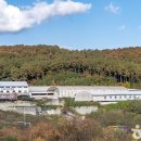 오포 생활체육공원 축구장 이미지