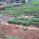 신기루농장 이미지