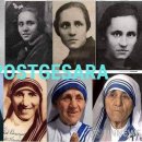 머리박사 이미지