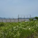 사암2리 이미지